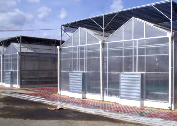 Polycarbonate greenhouse exterior with vent window and cooling fan on the end wall