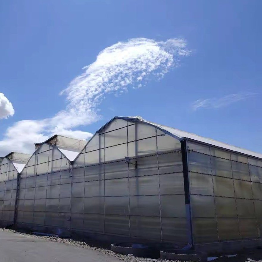 Long row of gothic arch film greenhouses along a service road