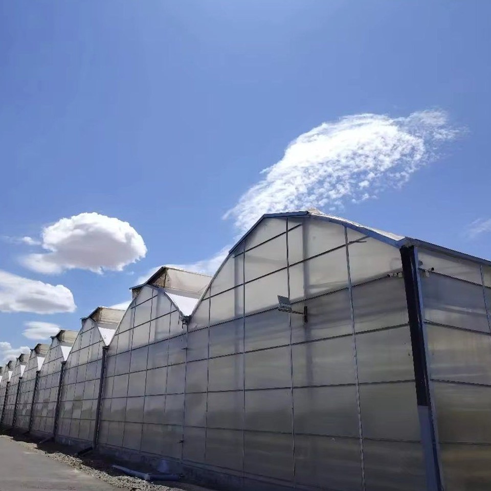 Side wall and film cover of a multi span gothic greenhouse