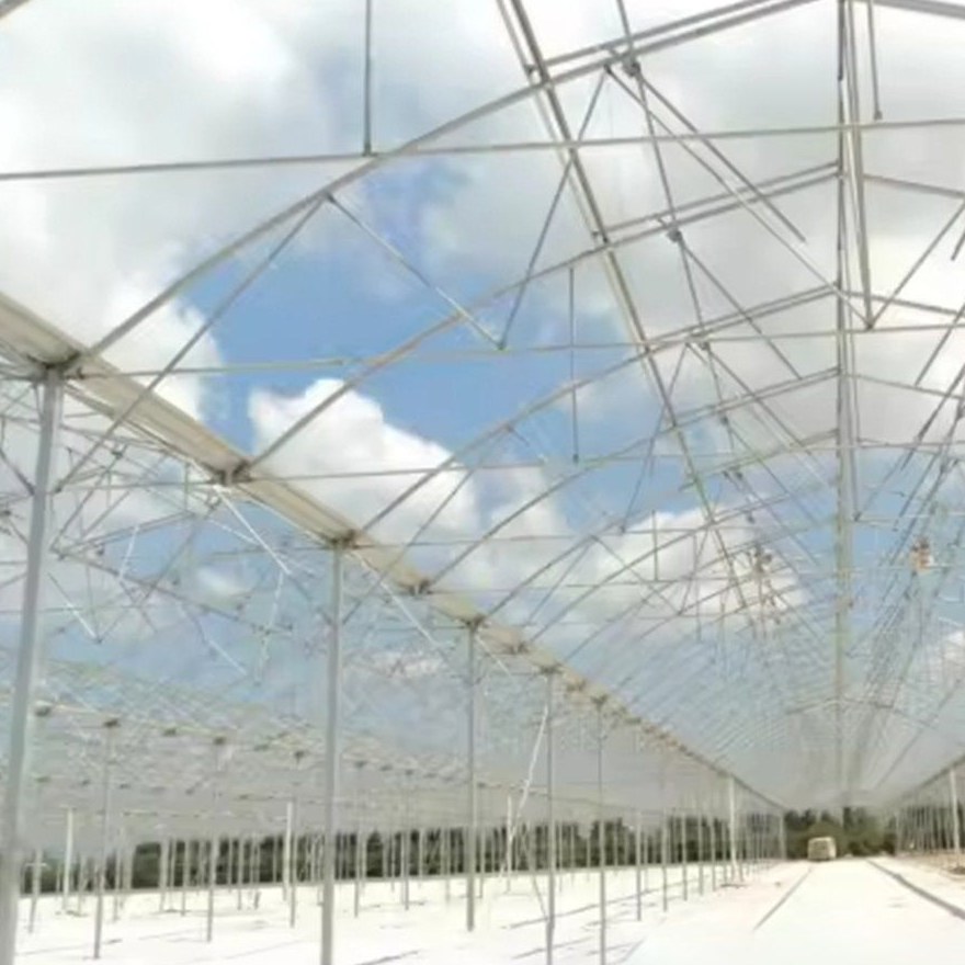 Steel frame and purlins visible through the film of a greenhouse bay