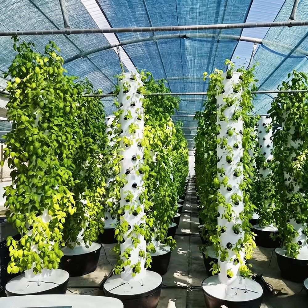 Aeroponic towers carrying leafy crops along a greenhouse bay