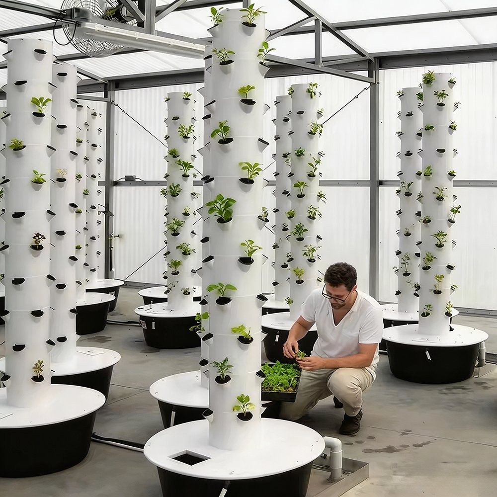 Grower working among a block of white aeroponic towers in a greenhouse