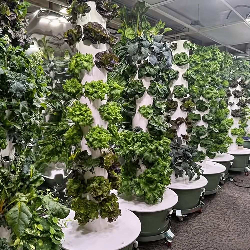 Long rows of aeroponic towers with crops at every level