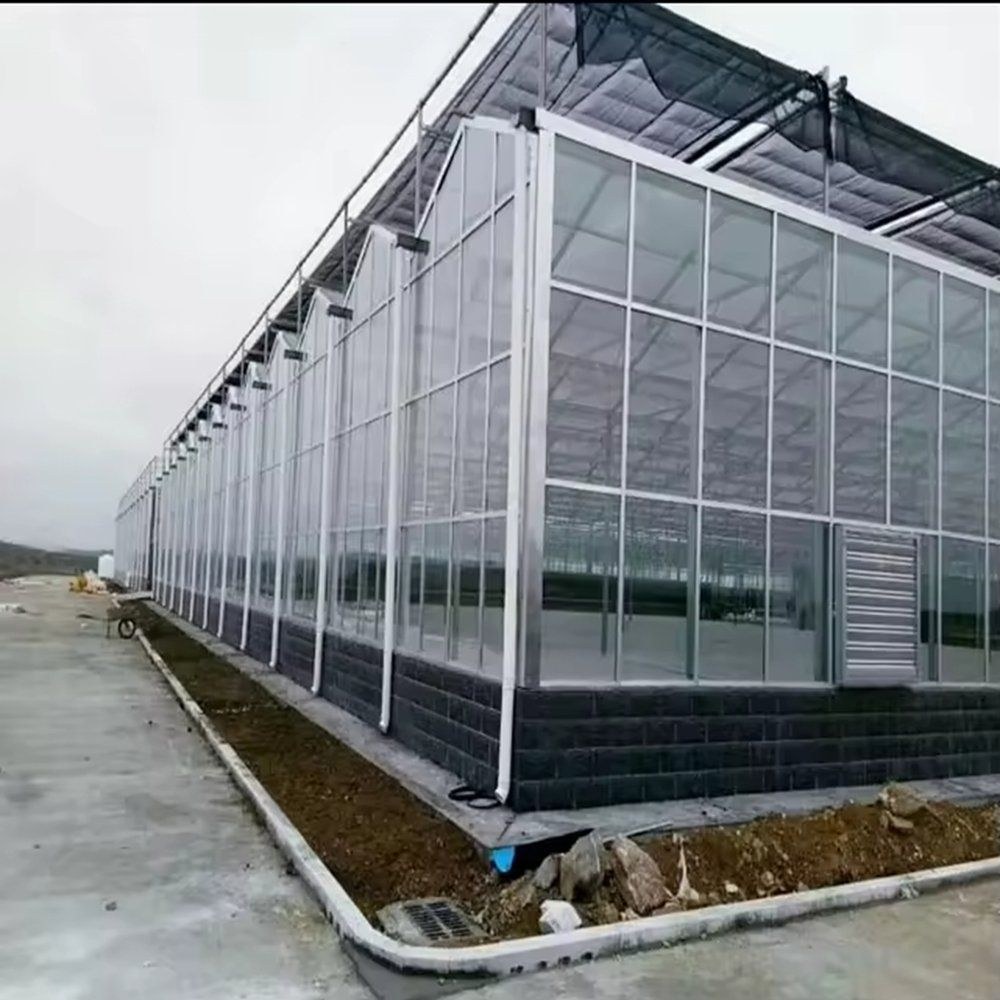 Glazed multi span greenhouse seen from outside with a service area