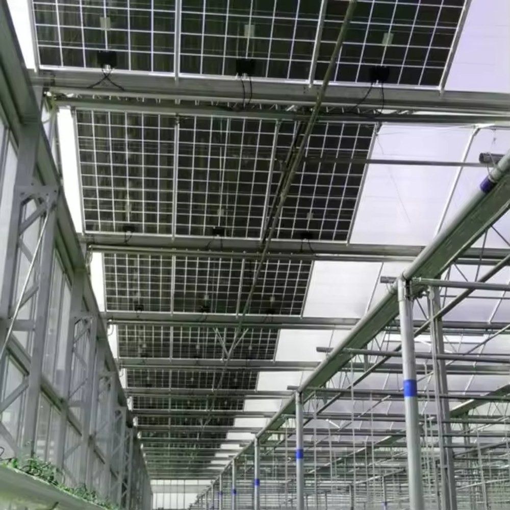 Photovoltaic panels forming the roof inside a glazed growing house