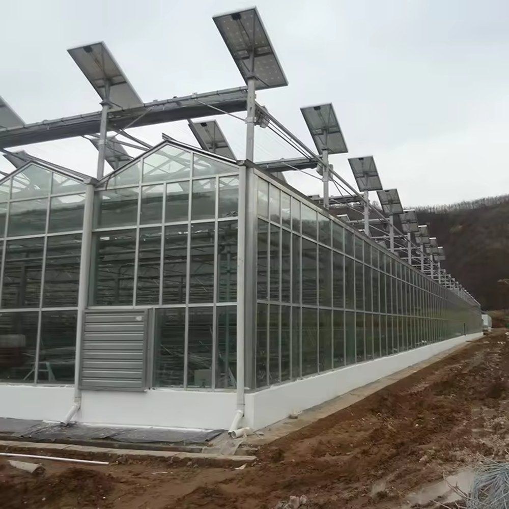 Side view of a glass greenhouse with a roof mounted photovoltaic array