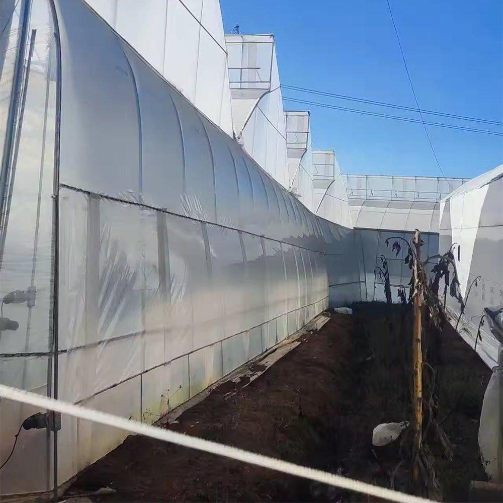 Side view of the tall greenhouse with the shade net over the frame