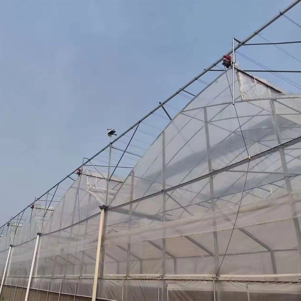 Greenhouse frame covered with a shade net