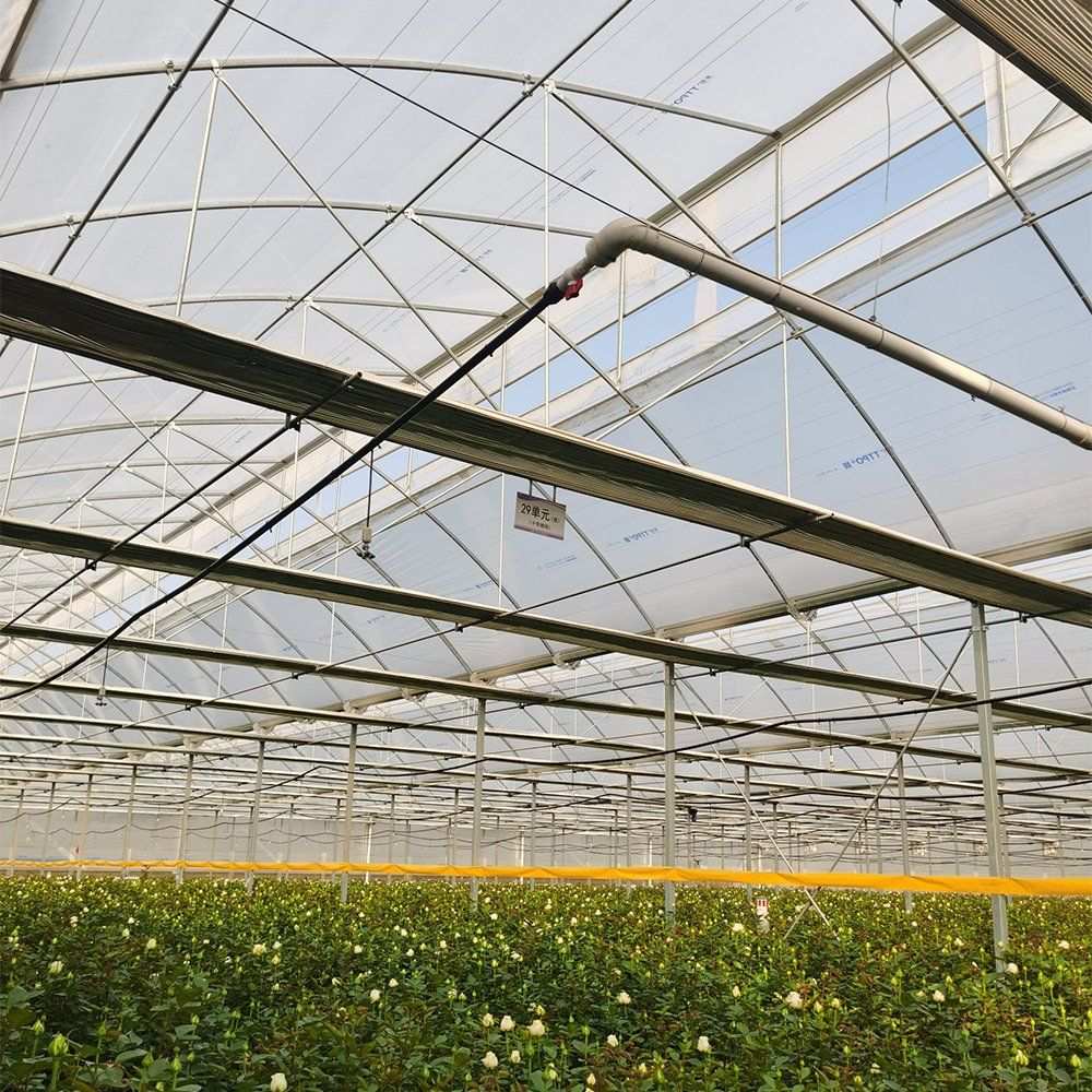 Interior of the greenhouse with a crop below the frame