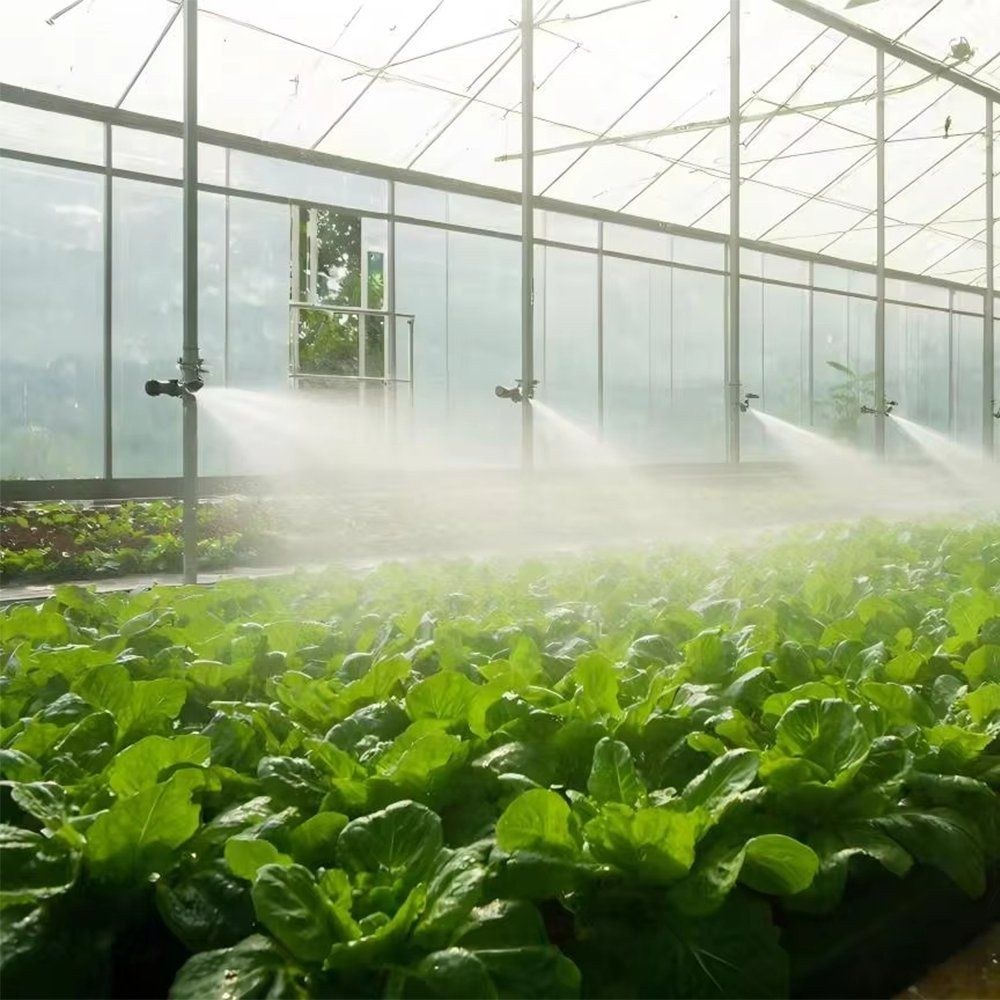 Sprinkler watering leafy greens inside the greenhouse