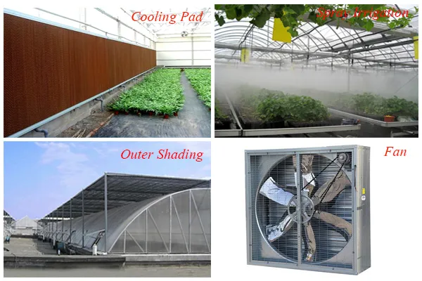 Cooling pad, fog system, outer shading and exhaust fan used to control greenhouse climate