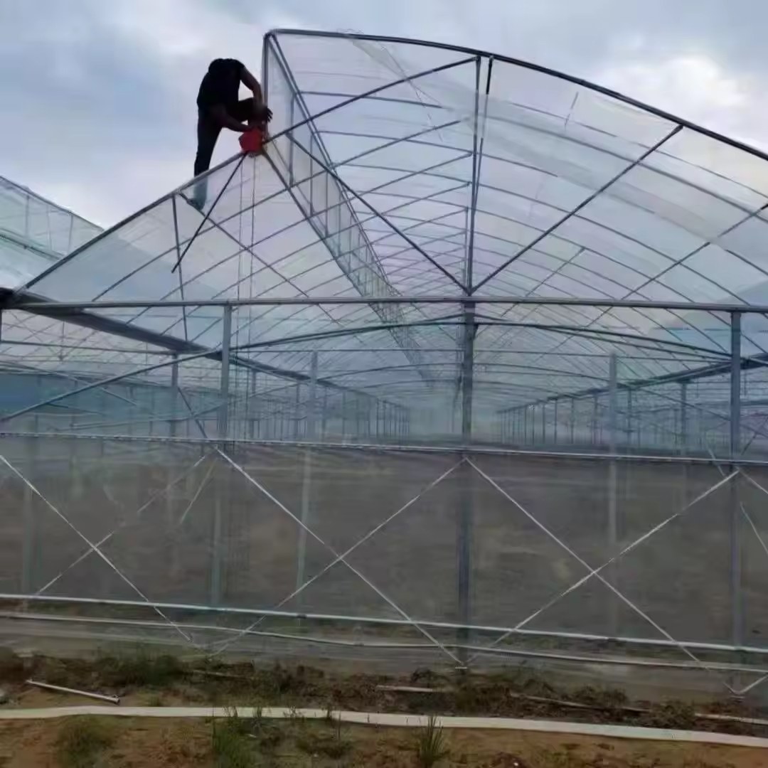 Interior truss and purlin structure of a multi-span greenhouse