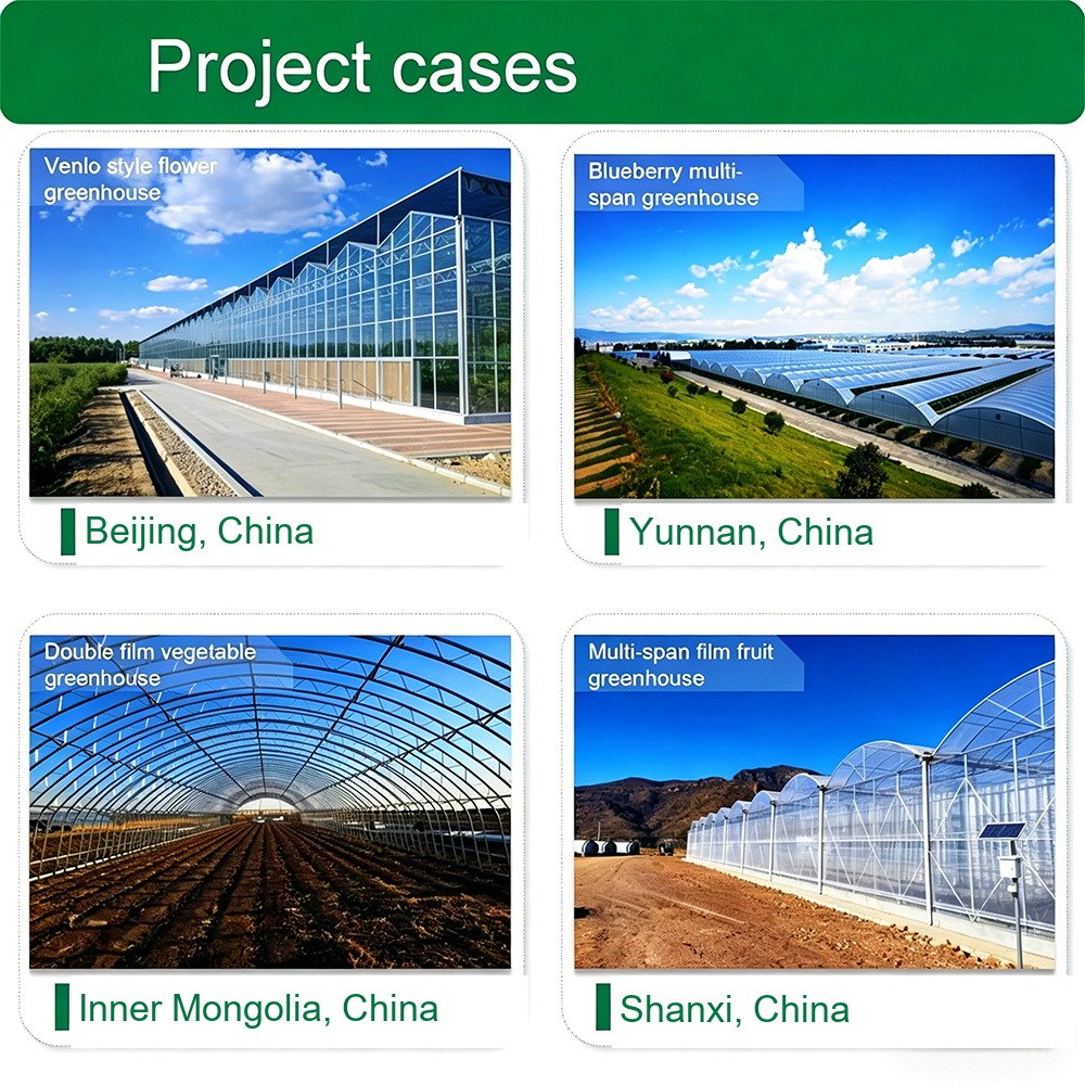 Greenhouse projects in different climates, including Beijing, Yunnan and Dubai sites