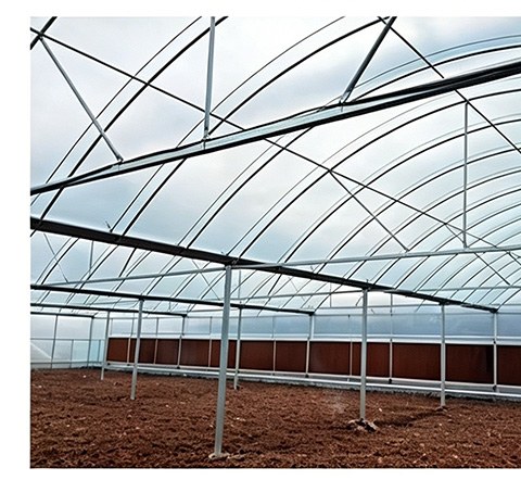 Internal shade curtain on rails inside a multi-span film greenhouse