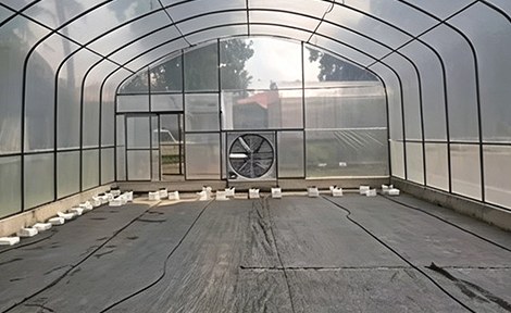 Exhaust fan installed in the end wall of a film greenhouse