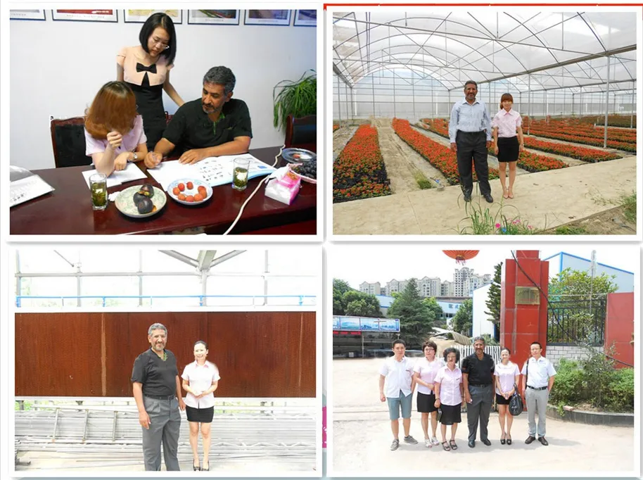 Overseas customers visiting the greenhouse factory and field projects