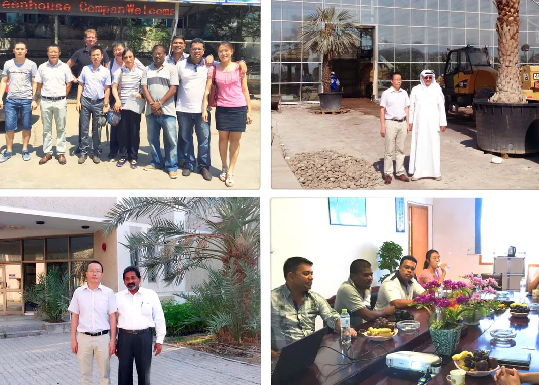 Overseas customer group visiting a hydroponic lettuce greenhouse project