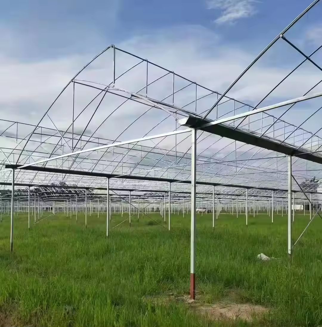 Hot-dip galvanized steel frame of a multi-span greenhouse