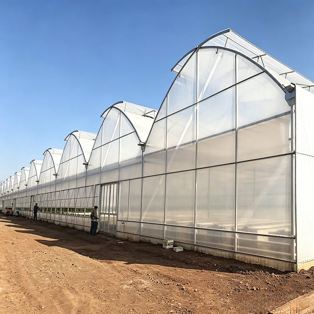 Multi-span greenhouse with ridge ventilation for hot humid climates