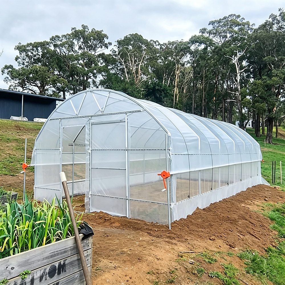 Single-span tunnel greenhouse with roll-up side curtains