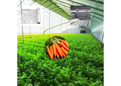 Notes on the Construction of a Commercial Greenhouse