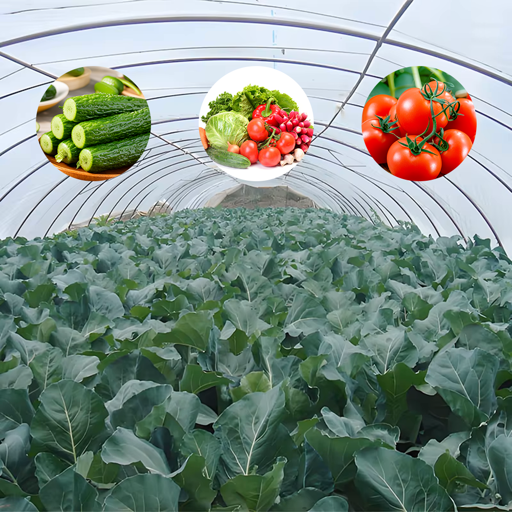 Film Greenhouse High Durability UV-Resistant for Vegetable/Flower Growing Small Farms | Trusted Supplier