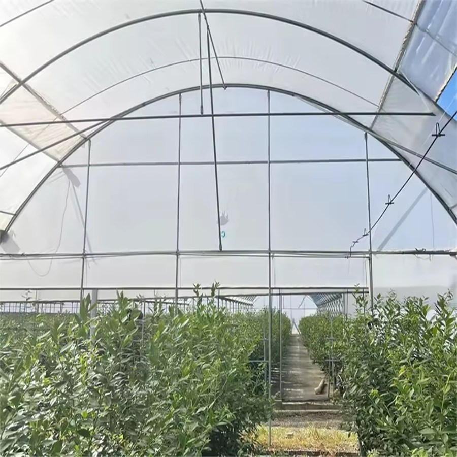 Commercial Multi-span Polyethylene Film Greenhouse for Vegetable Farming
