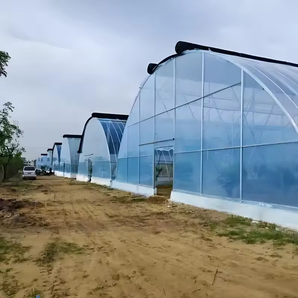 Complete Greenhouse Kit – Easy Assemble Tunnel for Vegetables