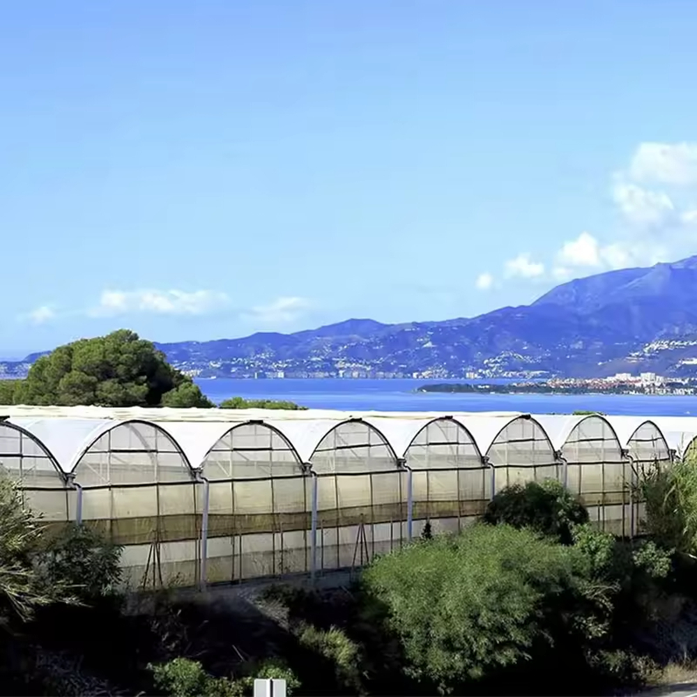 High Tunnel Greenhouse – Galvanized Steel PE Film for Crops
