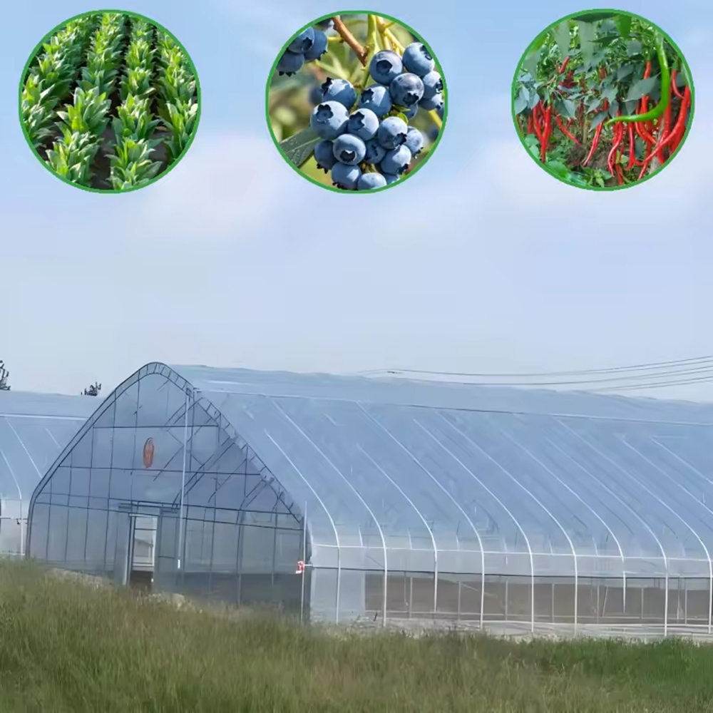 High Tunnel Greenhouse – Gothic Arch Easy Assembly for Crops