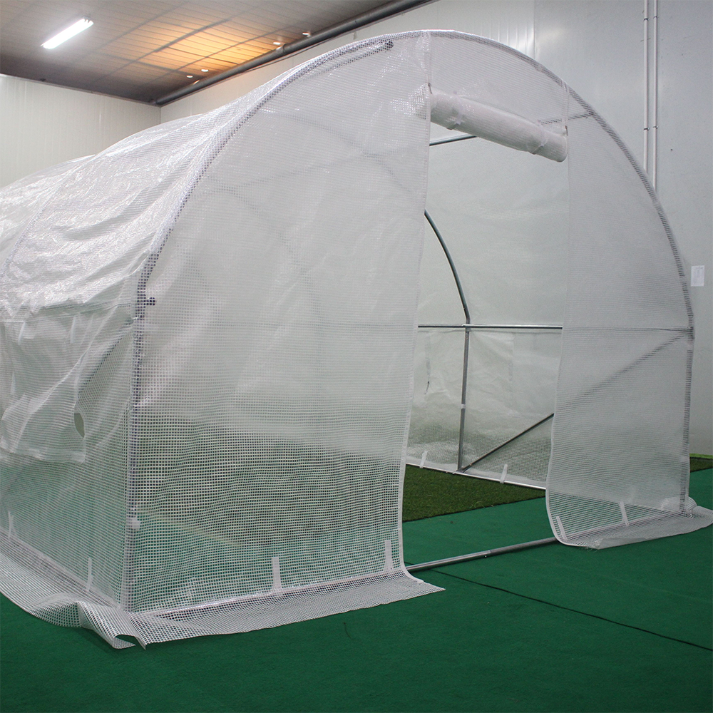 PE Film Greenhouse with Galvanized Frame for Commercial Farming