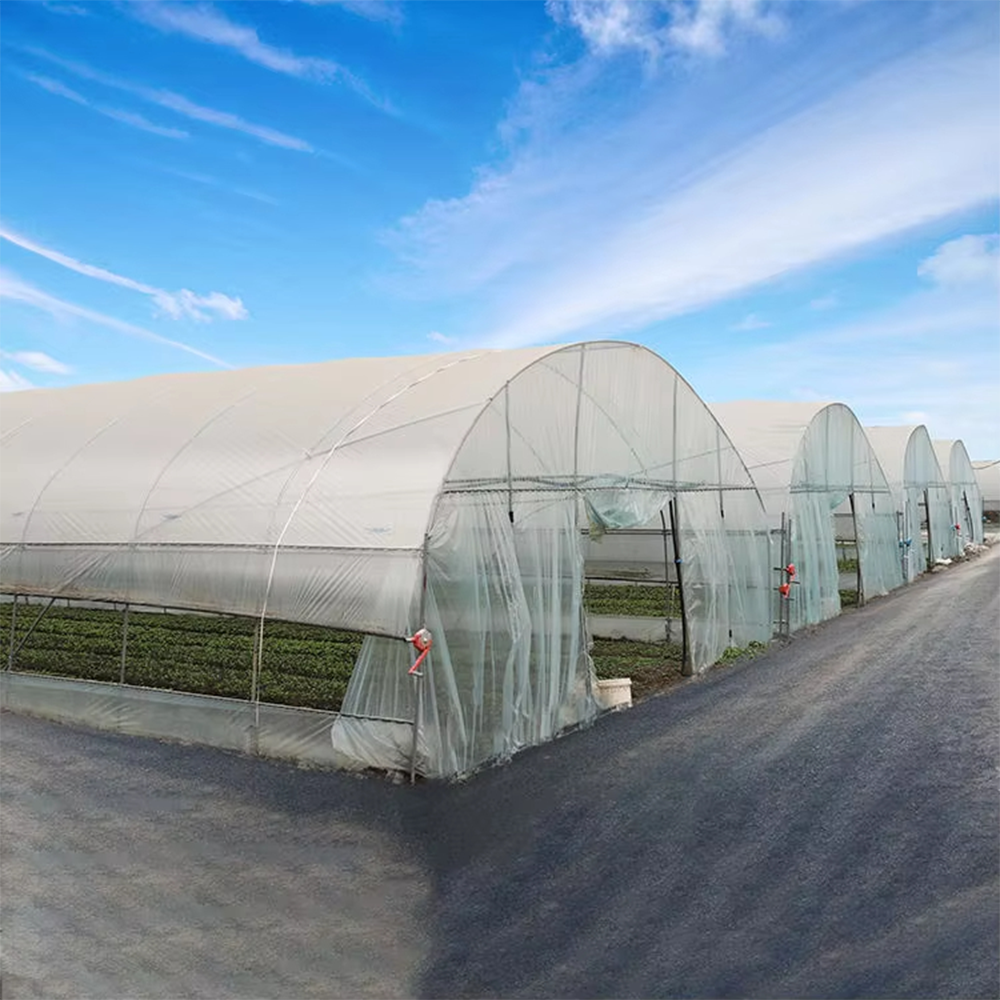 Commercial Single-Span Tunnel Greenhouse for Vegetable & Flower Seedling