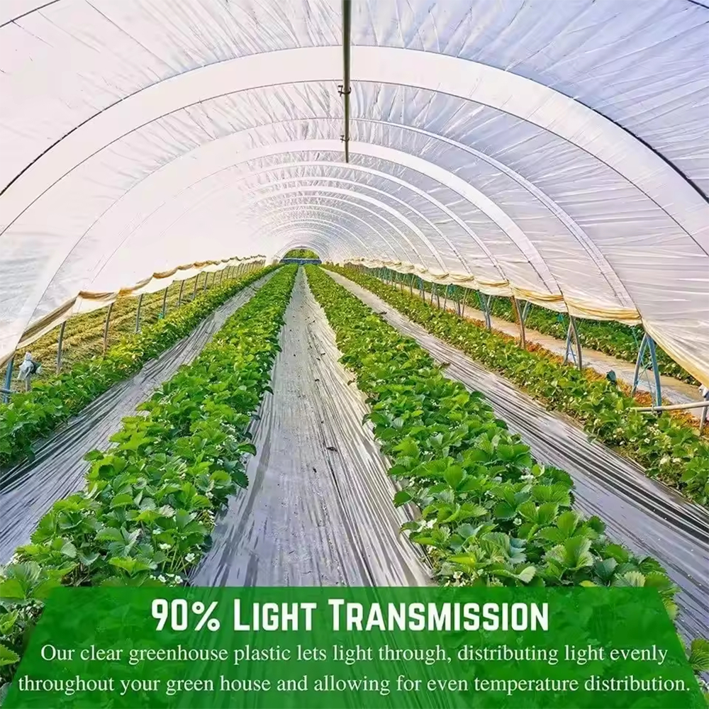 Commercial Single Span Film Greenhouse for Large Vegetable Farms