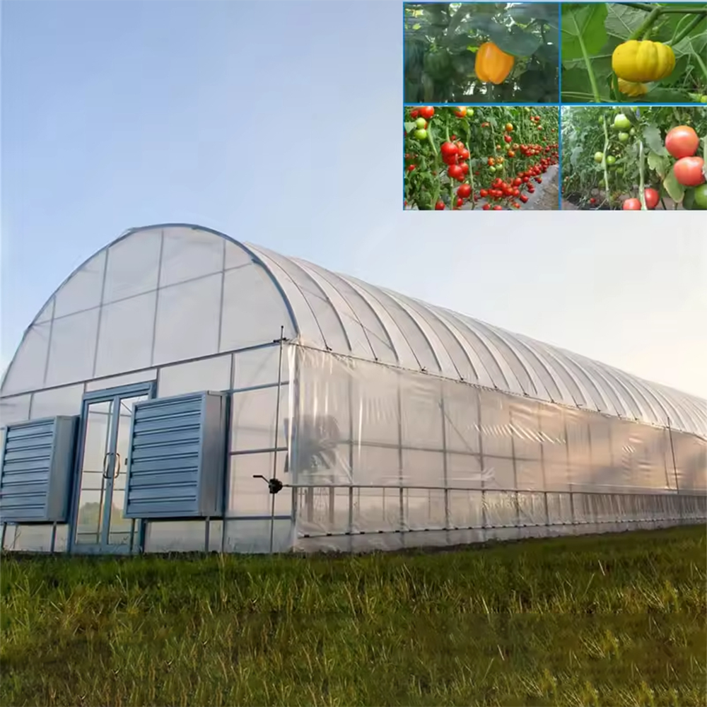 Commercial Single Span Film Greenhouse for Large Vegetable Farms