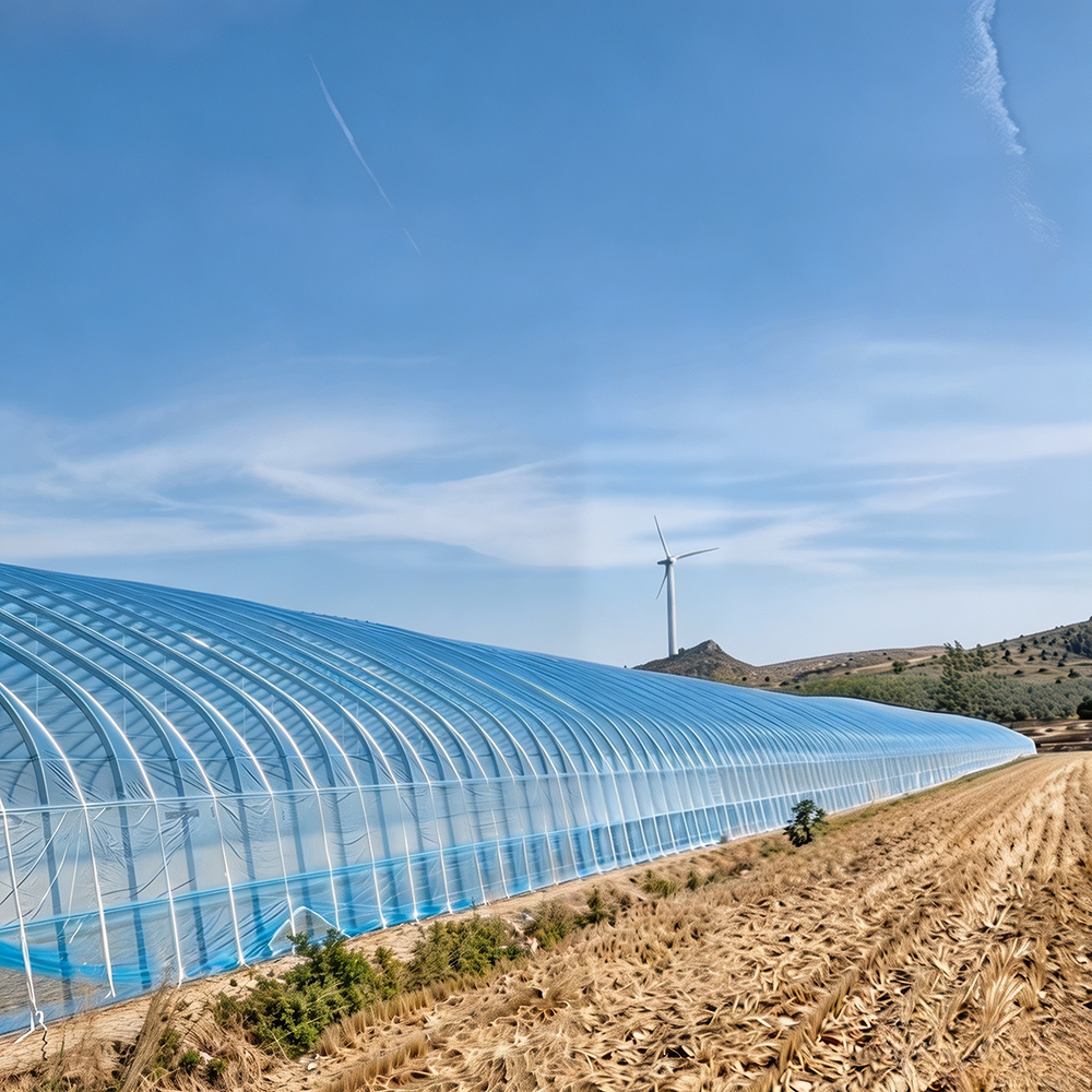 Easy Assembly Single Span Film Greenhouse for Small Farms