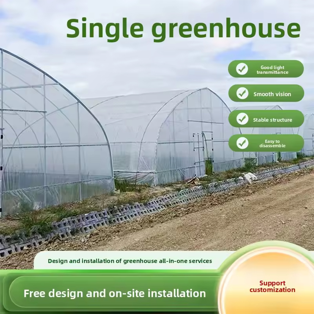 Easy Assembly Single Span Film Greenhouse for Small Farms