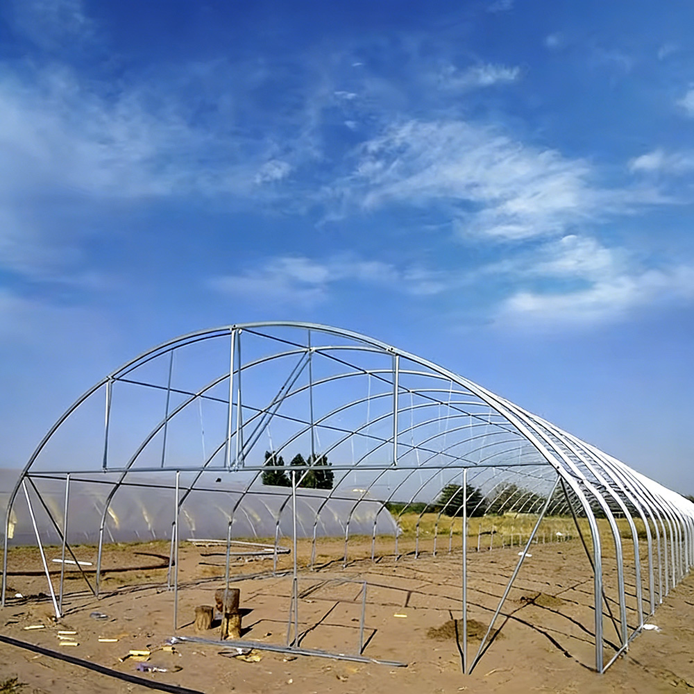Heavy Weather Resistant Single Span Film Greenhouse for Harsh Climates