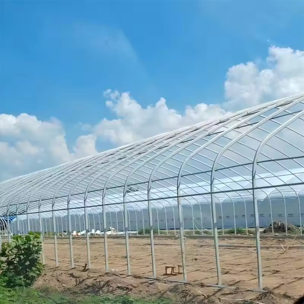 Prefab Quick Deploy Single Span Greenhouse Kit for Farm Projects
