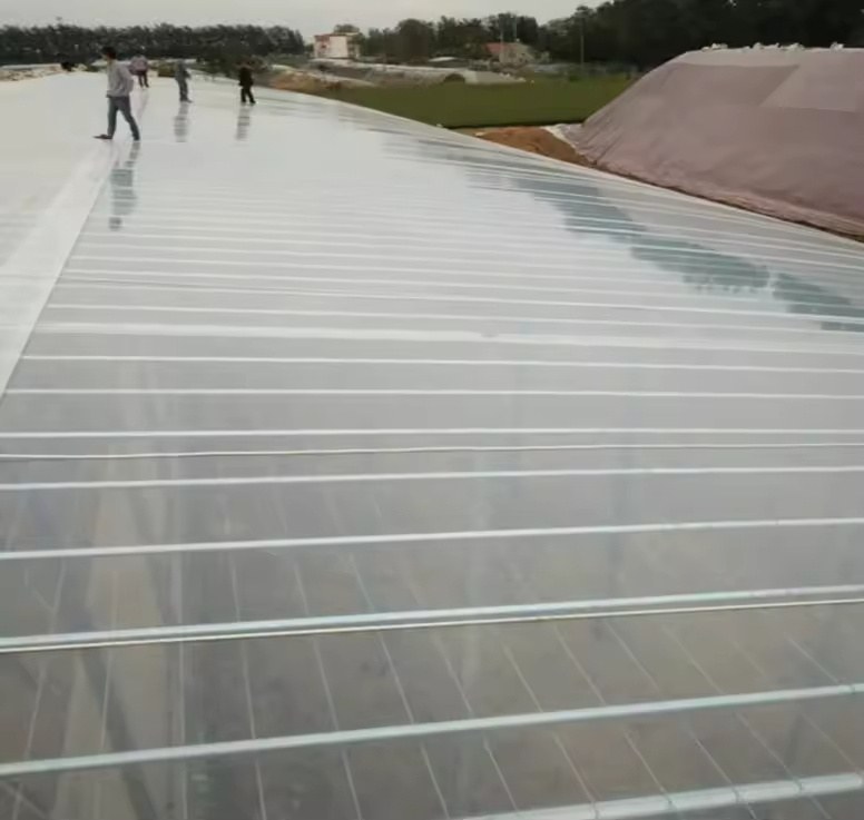 PE film cover being pulled over the arched frame of the commercial greenhouse