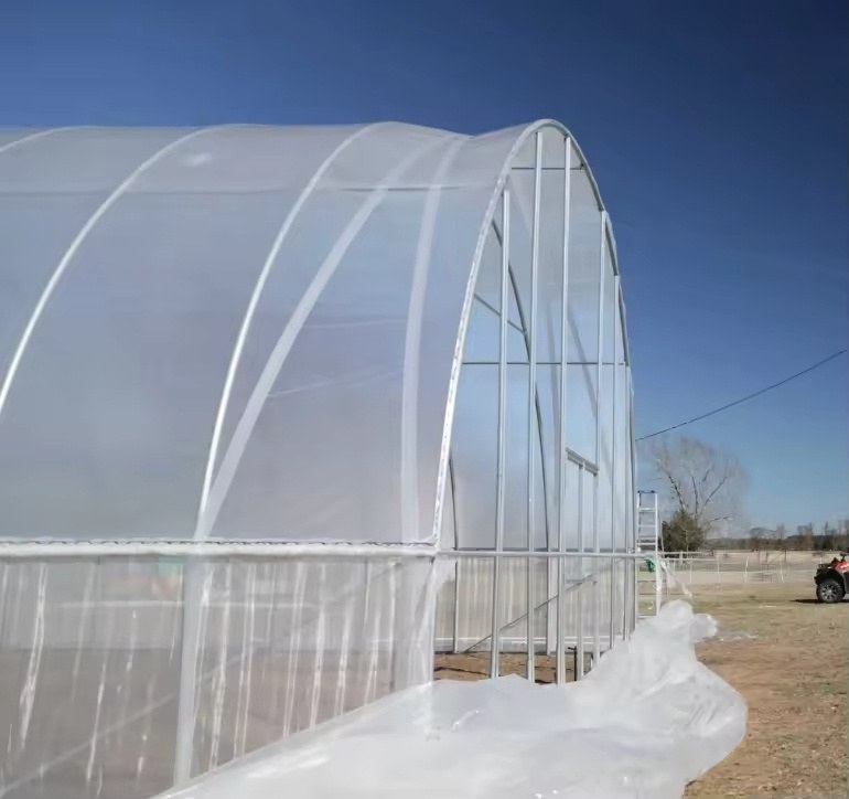 Single bay plastic film greenhouse under a clear blue sky