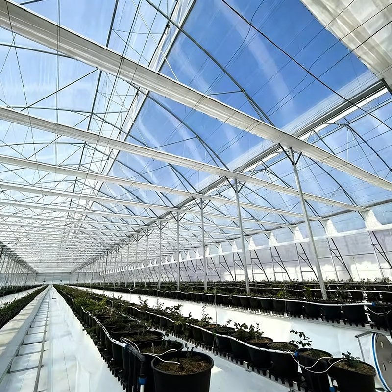 film greenhouse central aisle and steel structure