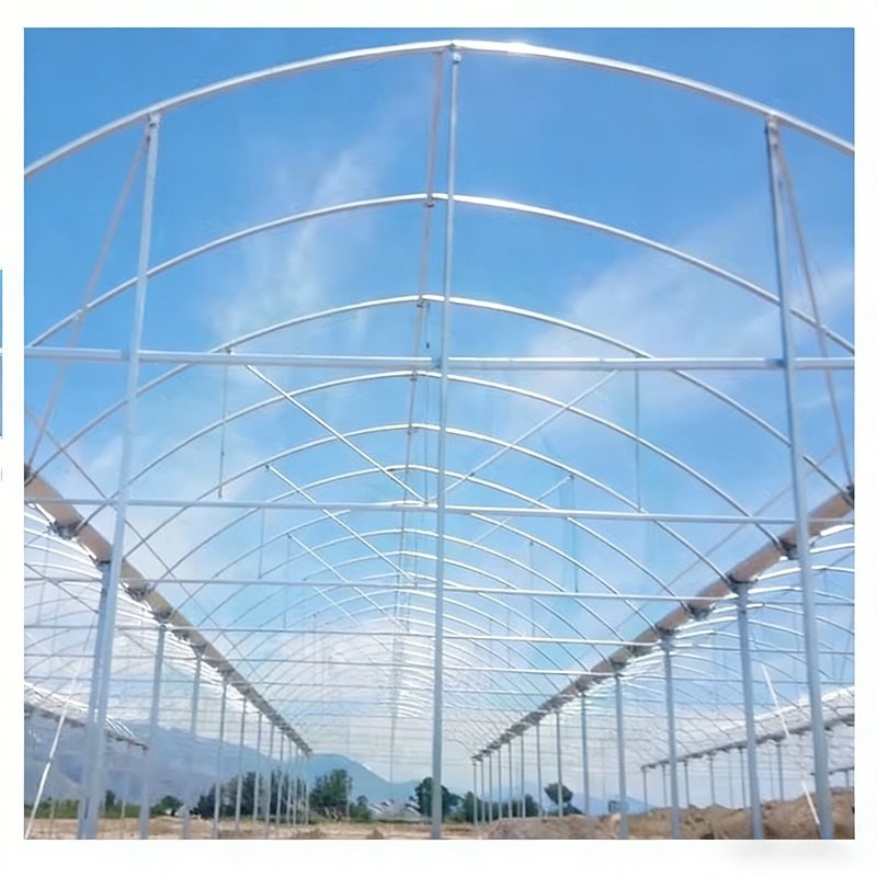 galvanized steel arch frame inside a span greenhouse