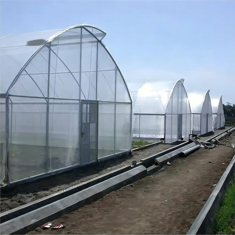 row of single span greenhouses under construction