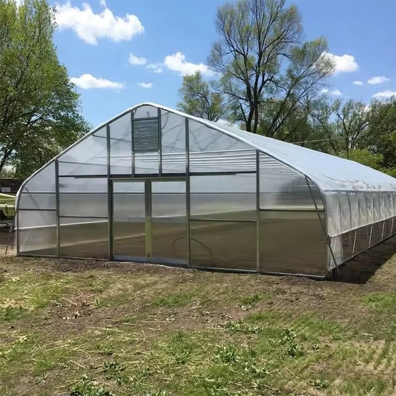 Large Single Span Greenhouse with Galvanized Frame for Vegetable Farm