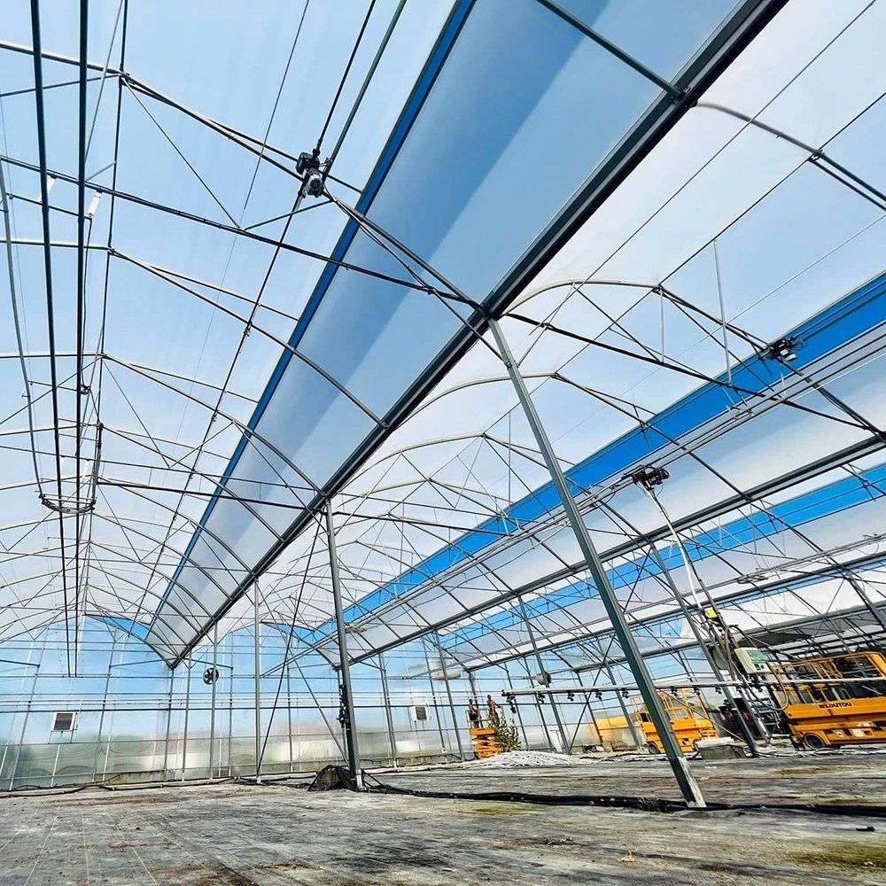 steel frame and film covering inside a sunlight film greenhouse
