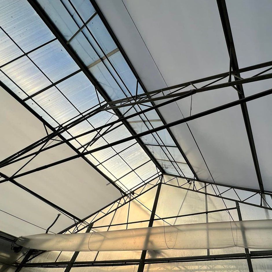 roof structure and light transmission of a film greenhouse