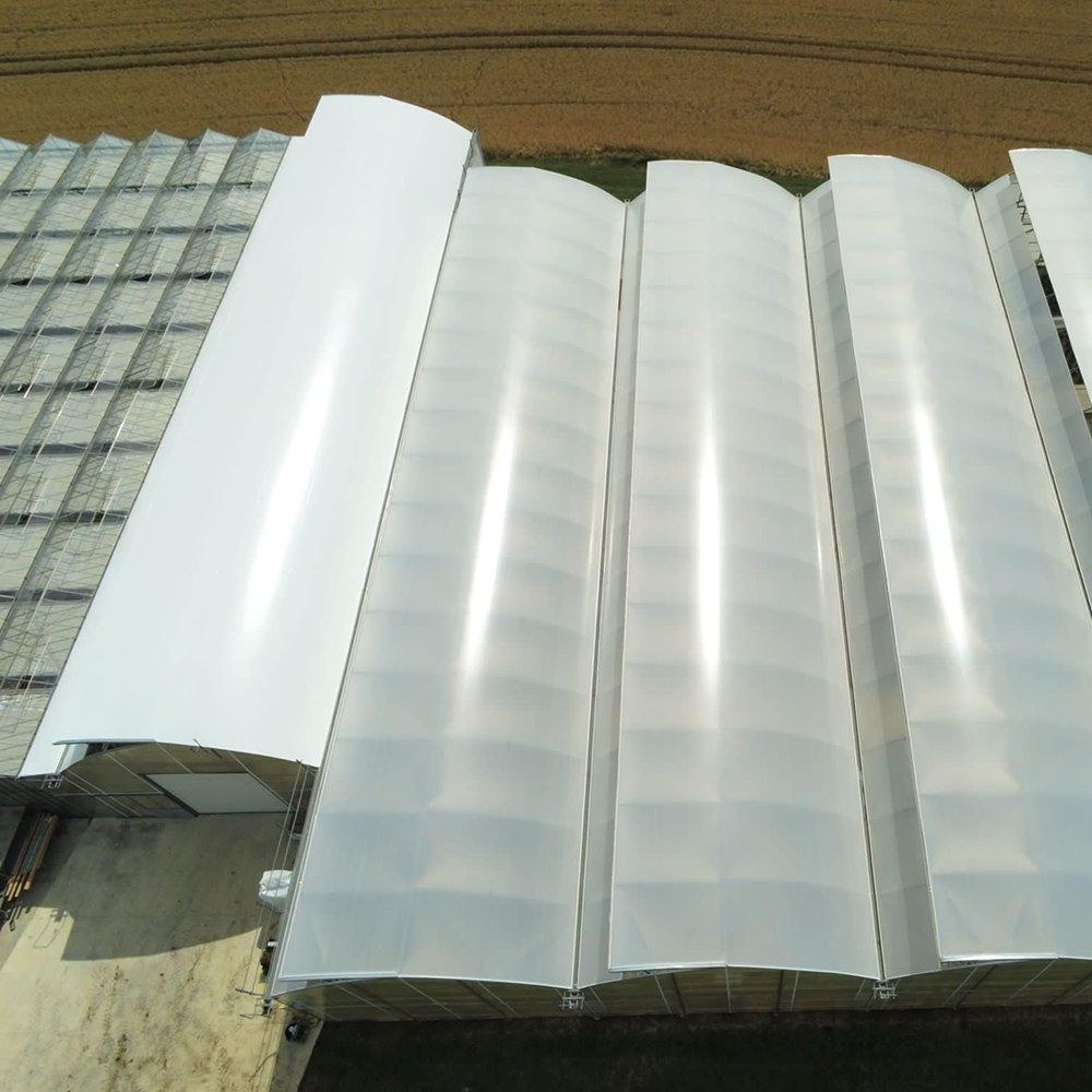 Sunlight Film Greenhouse with Ventilation for Winter Vegetable Growing
