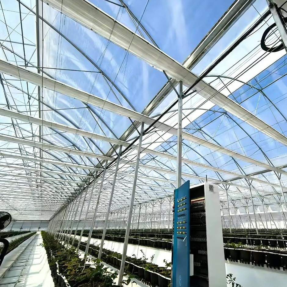 galvanized steel frame columns inside a multi span greenhouse