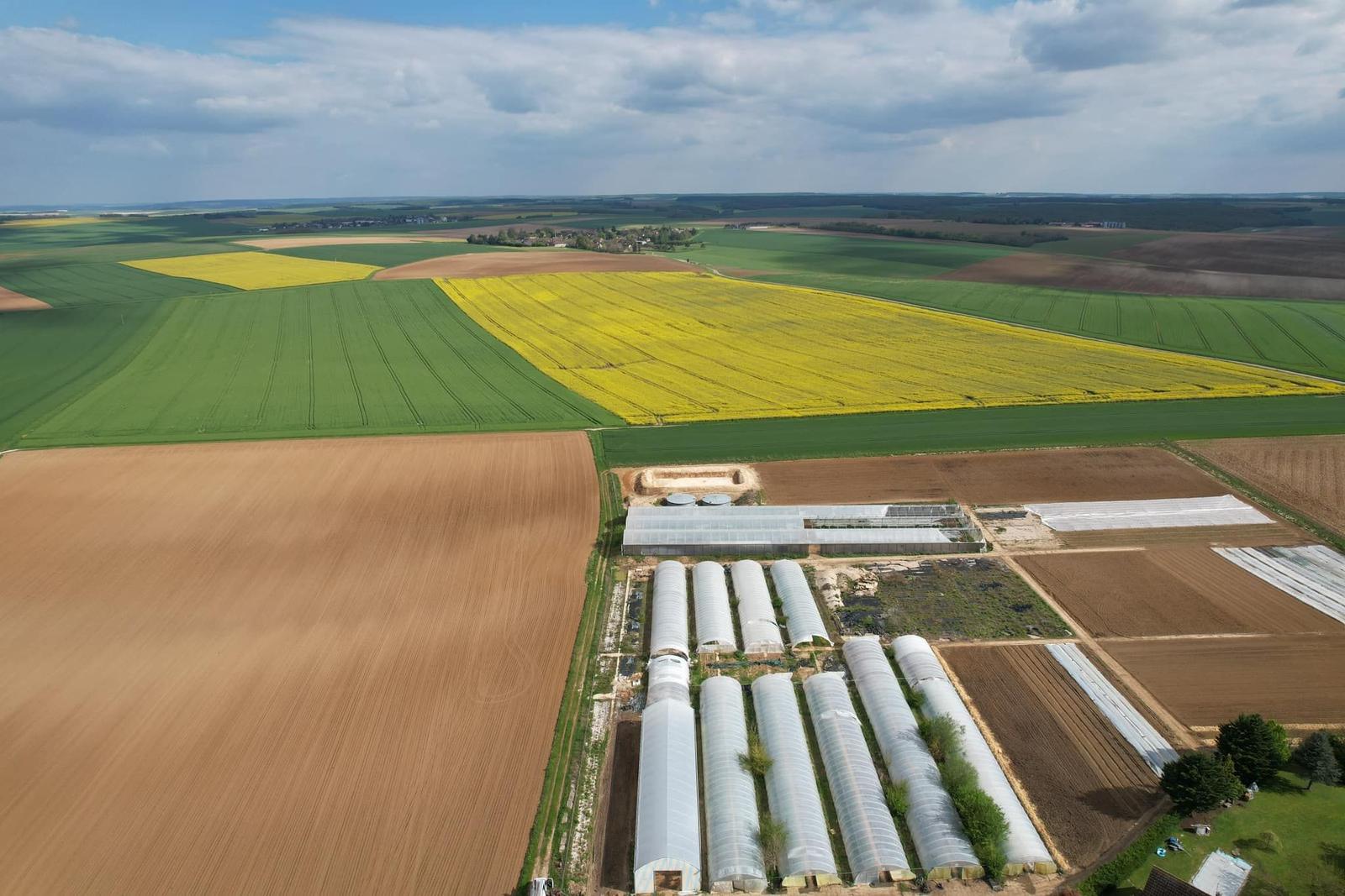 Aerial view of a farm with rows of PE film greenhouses beside open vegetable fields