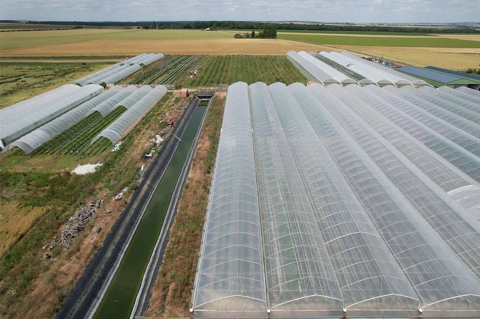 Aerial view of multi-span PE film greenhouses on a commercial vegetable farm